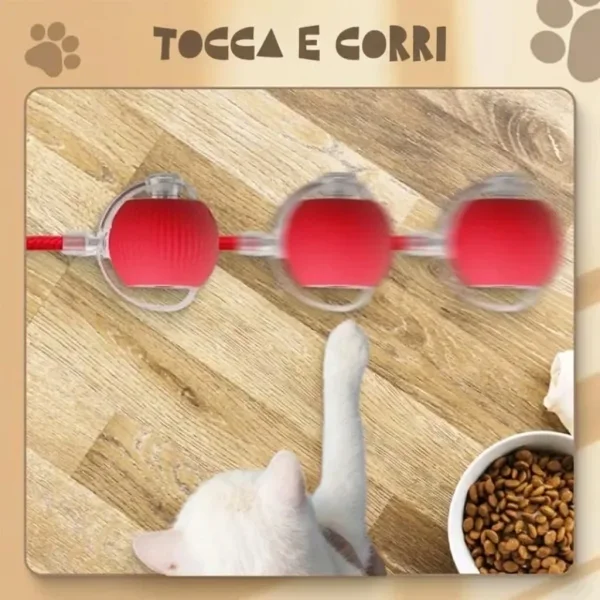0103960b8b8bd_GATOPLAY-3831127562723-IT-314__081026.webp