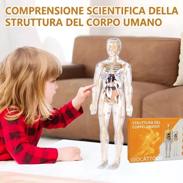 1c9e24daf7a88_FLESHTOPIA-3831127559945-IT-774__280926.webp