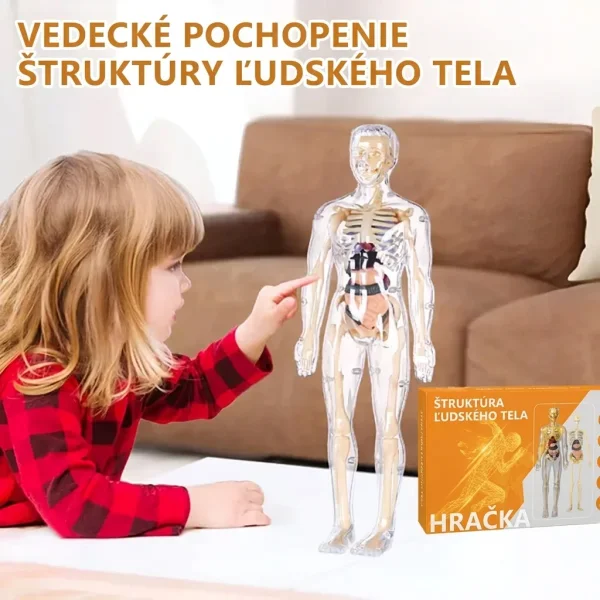 1c9e24daf7a88_FLESHTOPIA-3831127559945-SK-774__280926.webp