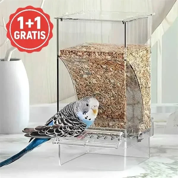 2bfd10de52d238_AUTOBIRD-999582216-IT-1__131026.webp