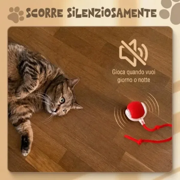 489bd8df9802b8_GATOPLAY-3831127562723-IT-66__081026.webp