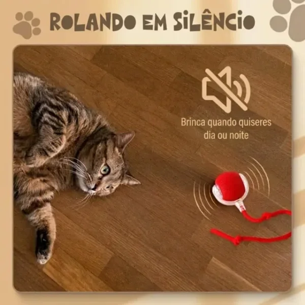 489bd8df9802b8_GATOPLAY-3831127562723-PT-66__081026.webp