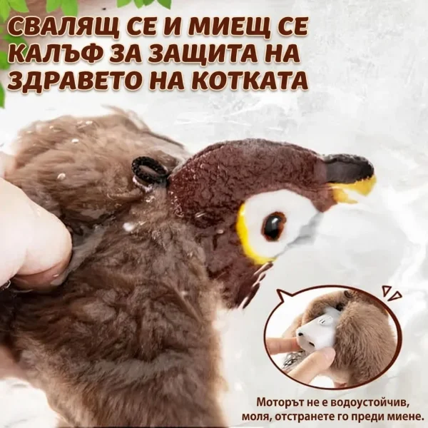5b080d5935d16_CHIRRCAT-3831127628906-BG-8__100926.webp