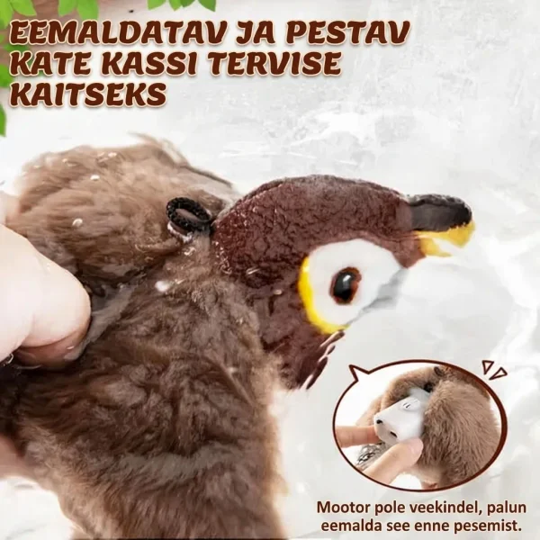 5b080d5935d16_CHIRRCAT-3831127628906-EE-8__100926.webp