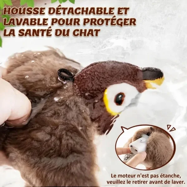 5b080d5935d16_CHIRRCAT-3831127628906-FR-8__100926.webp