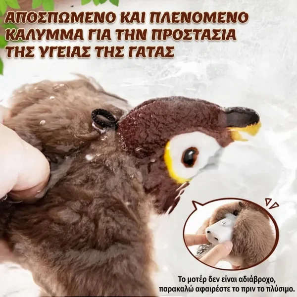 5b080d5935d16_CHIRRCAT-3831127628906-GR-8__100926.webp