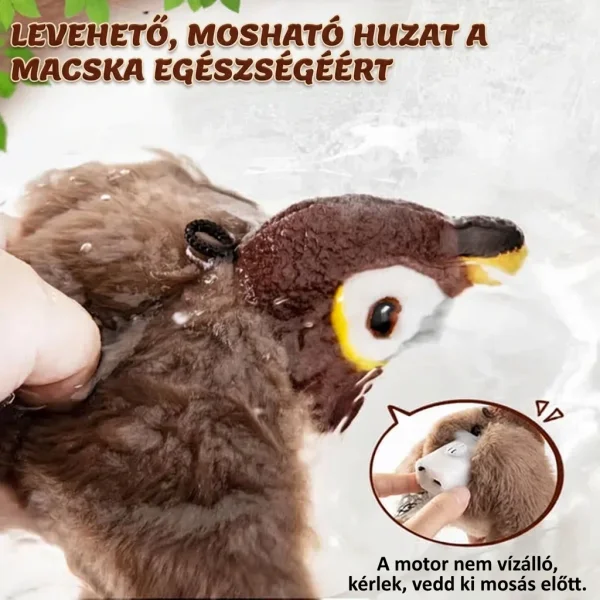 5b080d5935d16_CHIRRCAT-3831127628906-HU-8__100926.webp