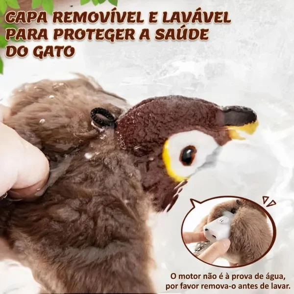 5b080d5935d16_CHIRRCAT-3831127628906-PT-8__100926.webp