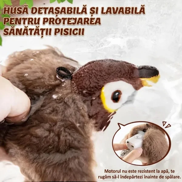 5b080d5935d16_CHIRRCAT-3831127628906-RO-8__100926.webp