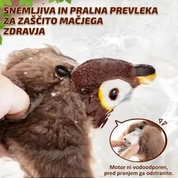 5b080d5935d16_CHIRRCAT-3831127628906-SI-8__100926.webp
