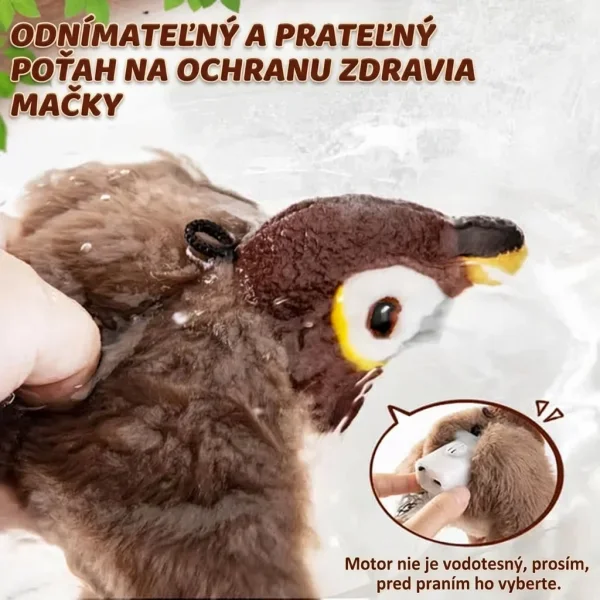 5b080d5935d16_CHIRRCAT-3831127628906-SK-8__100926.webp
