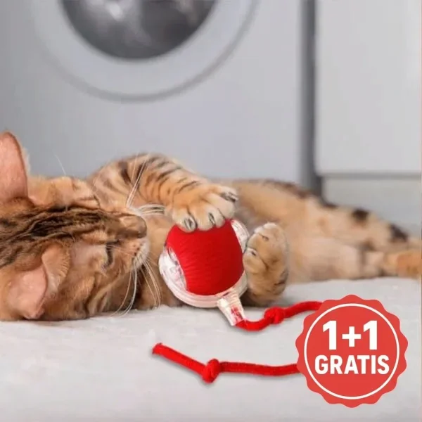 847df705829bd8_G2ATOPLAY-175675340-DE-1__081026.webp