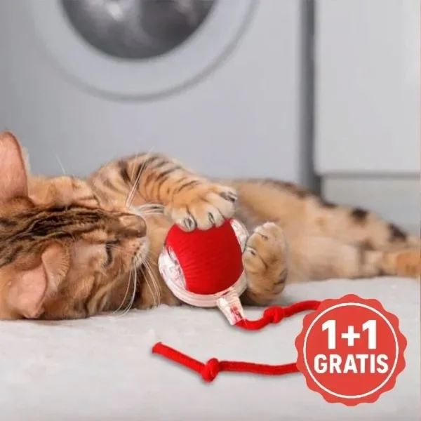 847df705829bd8_G2ATOPLAY-175675340-IT-1__081026.webp