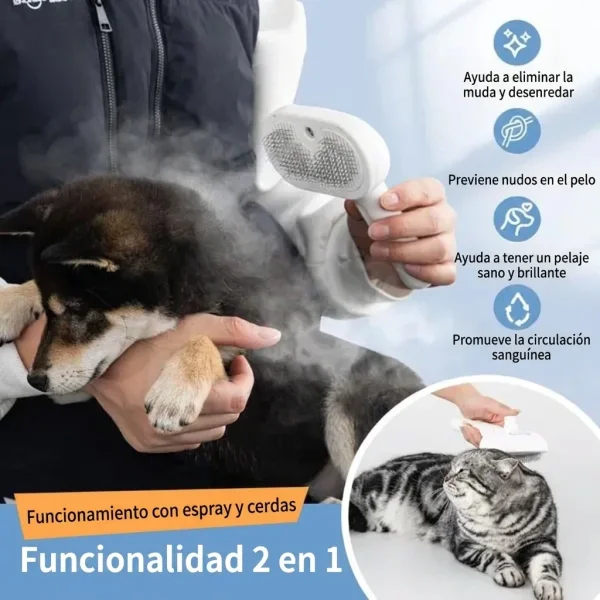 8d8bccc617a6c8_GROOMSY-3831127599696-ES-5884__300926.webp