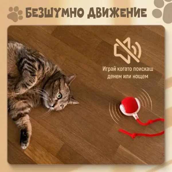 8f9f6acd1a6538_GATOPLAY-3831127562723-BG-66__081026.webp