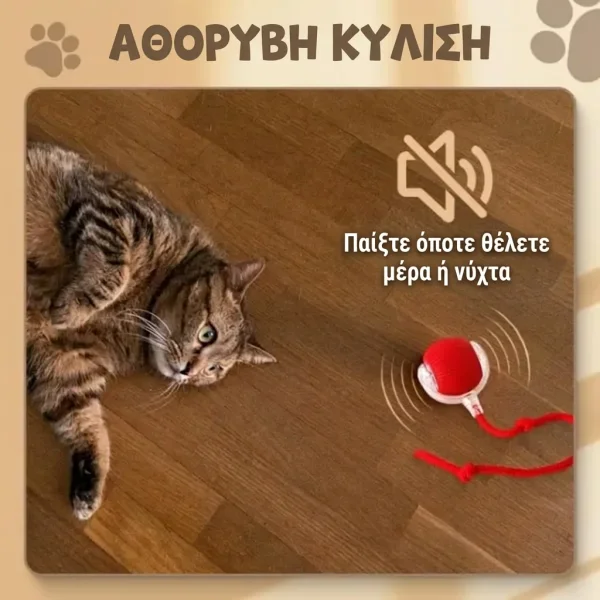 8f9f6acd1a6538_GATOPLAY-3831127562723-GR-66__081026.webp