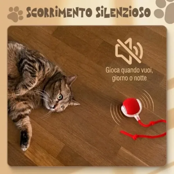 8f9f6acd1a6538_GATOPLAY-3831127562723-IT-66__081026.webp