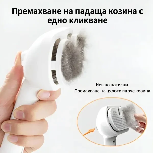 9040997eae9108_GROOMSY-3831127599696-BG-24544__300926.webp