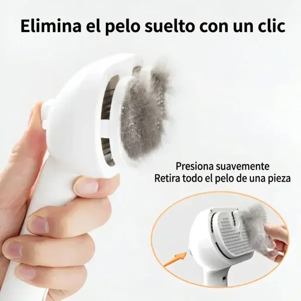 9040997eae9108_GROOMSY-3831127599696-ES-24544__300926.webp