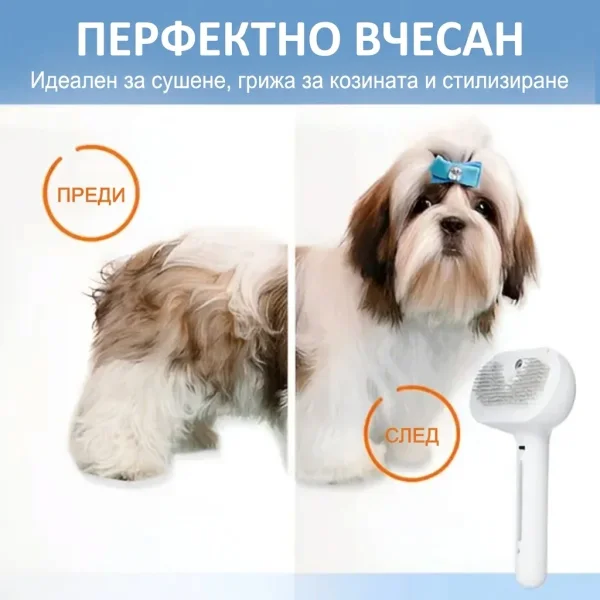 91014c117d8628_GROOMSY-3831127599696-BG-868__300926.webp