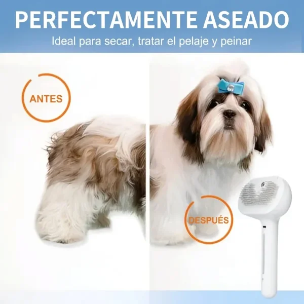 91014c117d8628_GROOMSY-3831127599696-ES-868__300926.webp