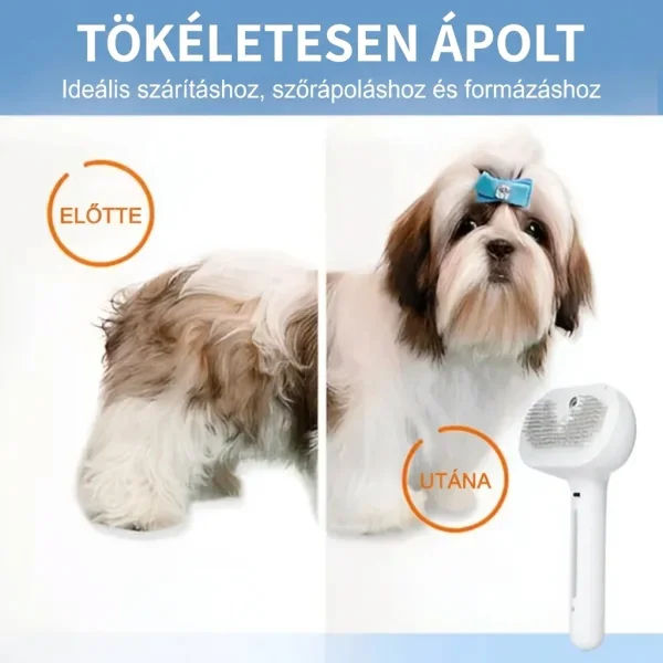 91014c117d8628_GROOMSY-3831127599696-HU-868__300926.webp