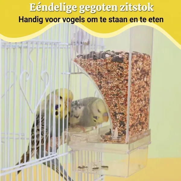 AUTOBIRD-3831127665154-BE-6__120826.webp