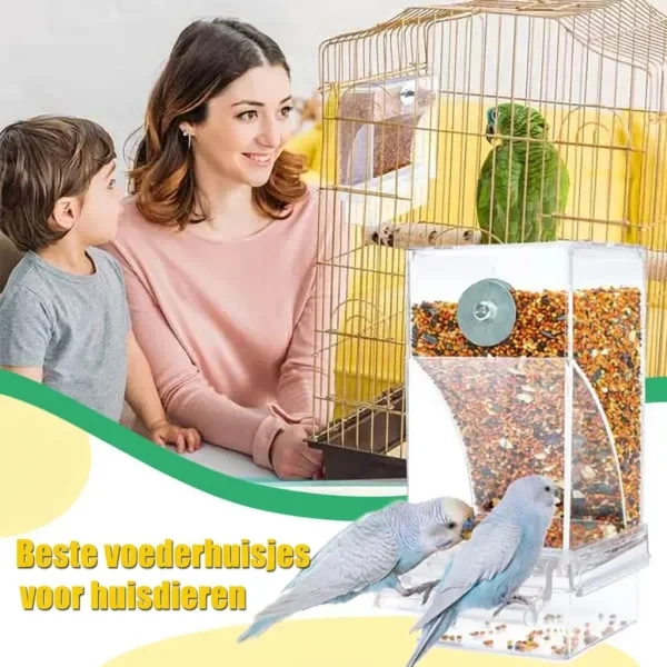 AUTOBIRD-3831127665154-BE-7__120826.webp