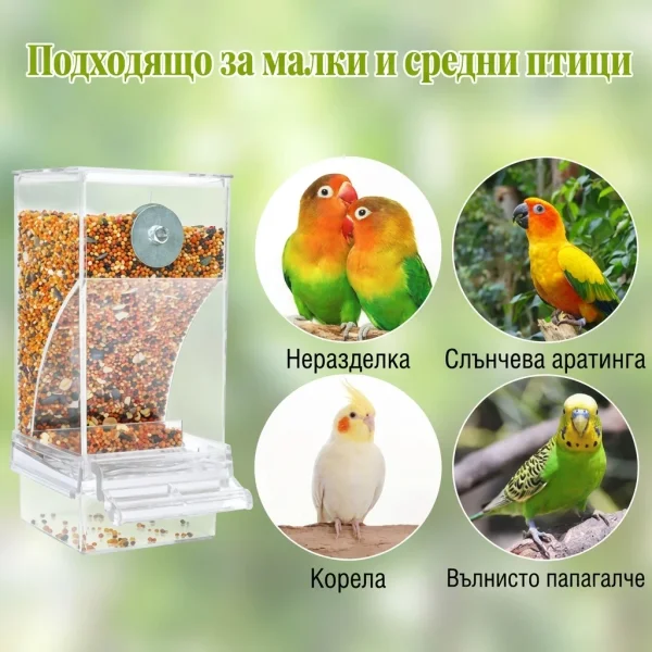 AUTOBIRD-3831127665154-BG-8__120826.webp