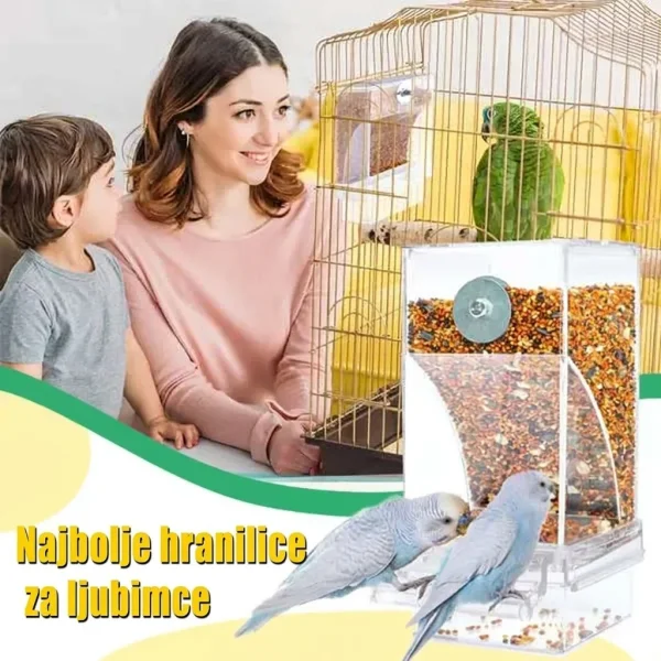 AUTOBIRD-3831127665154-HR-7__120826.webp