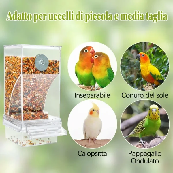 AUTOBIRD-3831127665154-IT-8__120826.webp