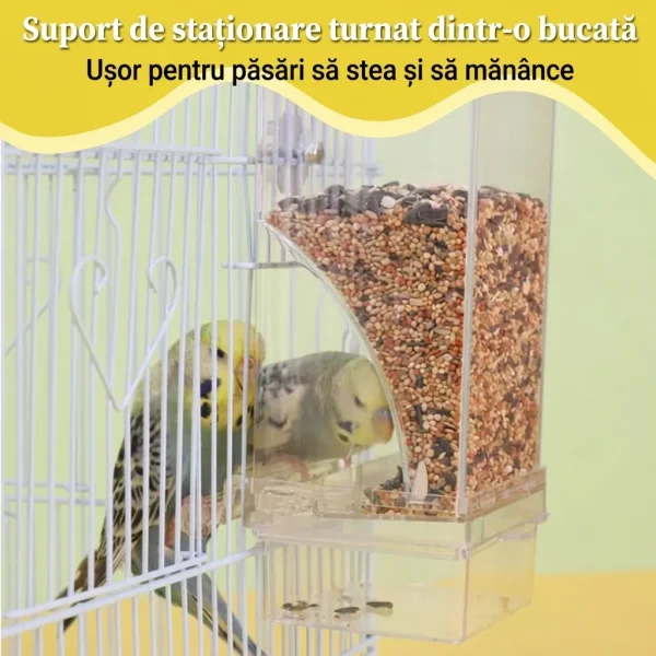 AUTOBIRD-3831127665154-MD-6__120826.webp