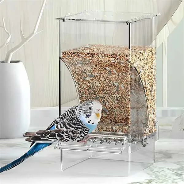 Automatska hranilica za ptice bez nereda | AUTOBIRD