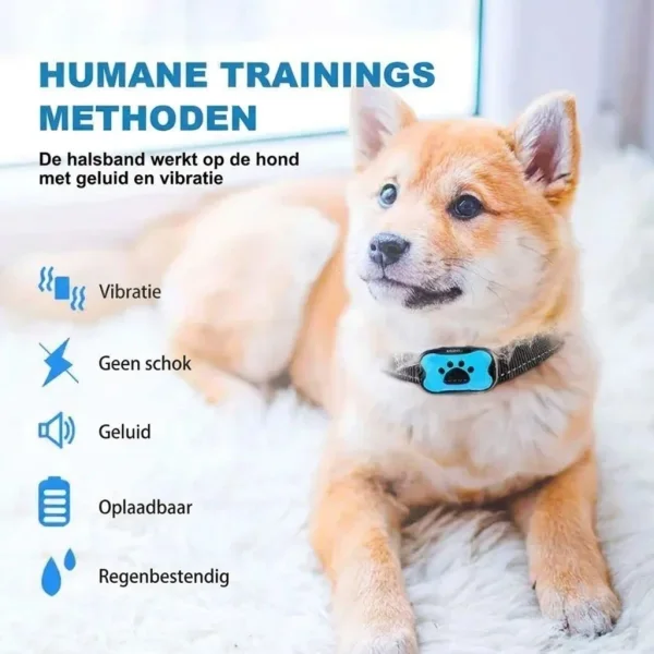 BARKYGUARD-3831127658972-BE-1__080726.webp