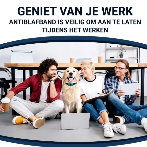 BARKYGUARD-3831127658972-BE-4__080726.webp