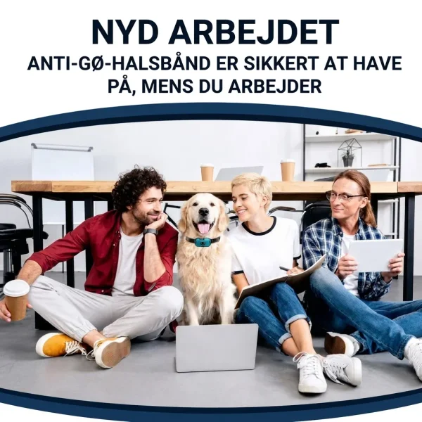 BARKYGUARD-3831127658972-DK-4__080726.webp