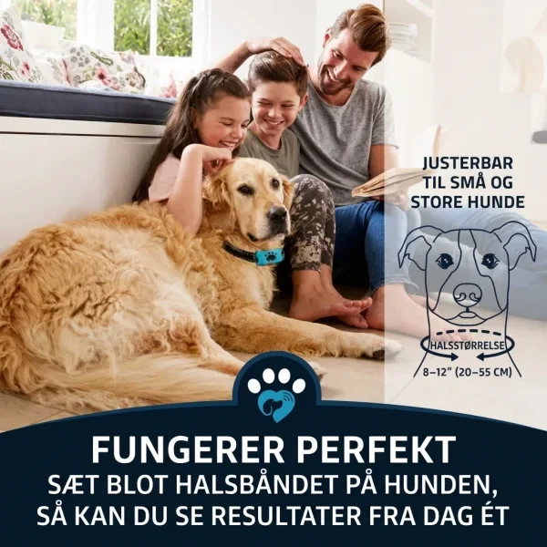 BARKYGUARD-3831127658972-DK-5__080726.webp