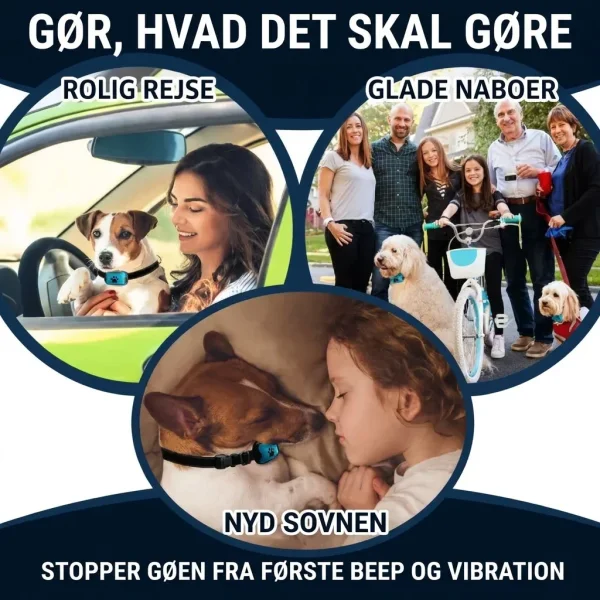 BARKYGUARD-3831127658972-DK-6__080726.webp