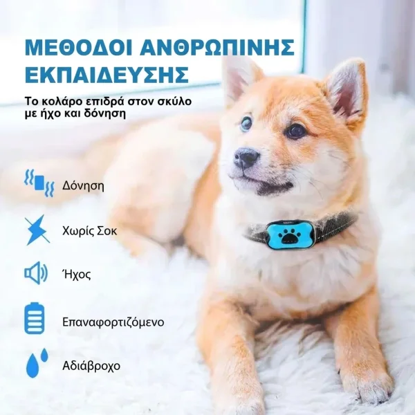 BARKYGUARD-3831127658972-GR-1__080726.webp