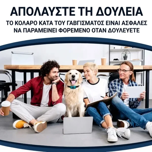 BARKYGUARD-3831127658972-GR-4__080726.webp