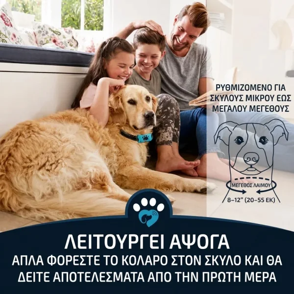 BARKYGUARD-3831127658972-GR-5__080726.webp