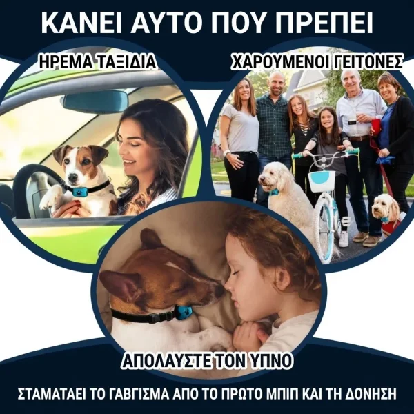 BARKYGUARD-3831127658972-GR-6__080726.webp