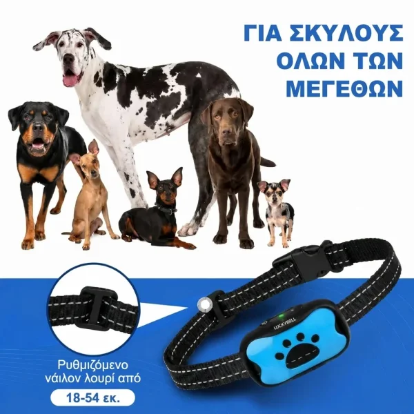 BARKYGUARD-3831127658972-GR-7__190826.webp