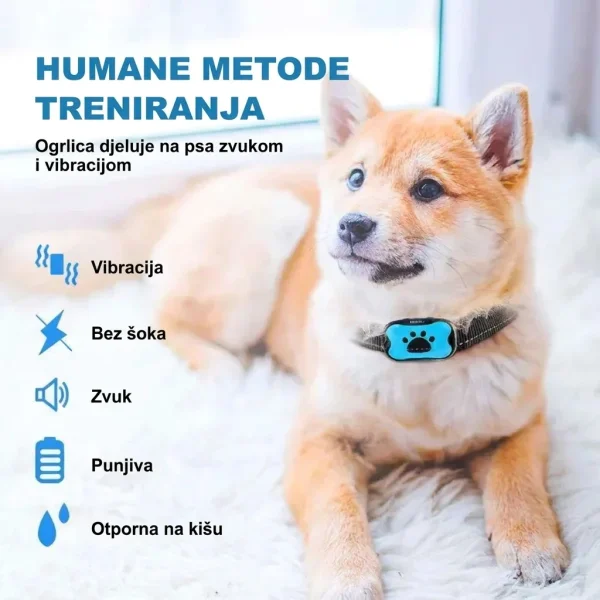 BARKYGUARD-3831127658972-HR-1__080726.webp