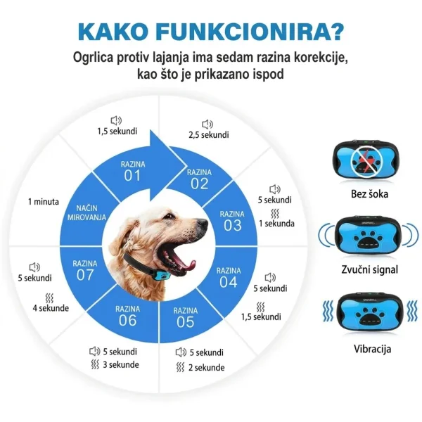 BARKYGUARD-3831127658972-HR-2__080726.webp