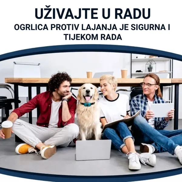 BARKYGUARD-3831127658972-HR-4__080726.webp
