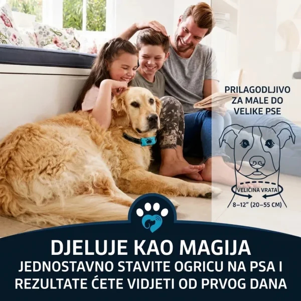 BARKYGUARD-3831127658972-HR-5__080726.webp