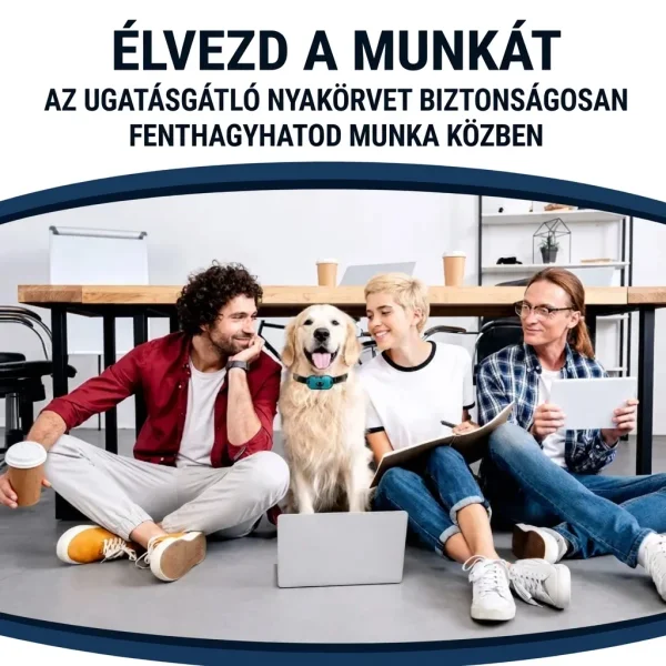 BARKYGUARD-3831127658972-HU-4__080726.webp