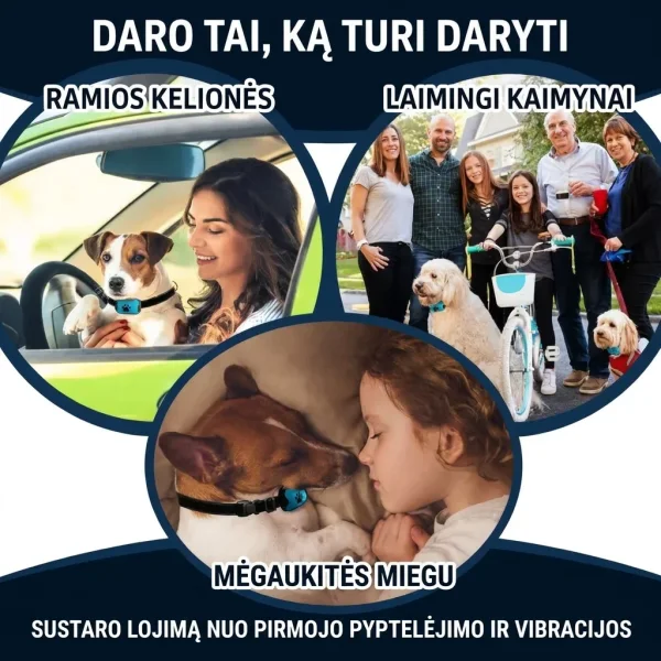 BARKYGUARD-3831127658972-LT-6__080726.webp