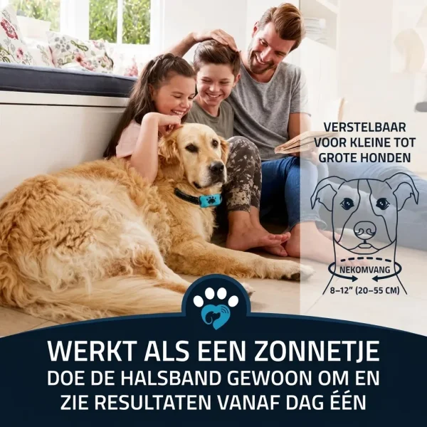 BARKYGUARD-3831127658972-NL-5__080726.webp